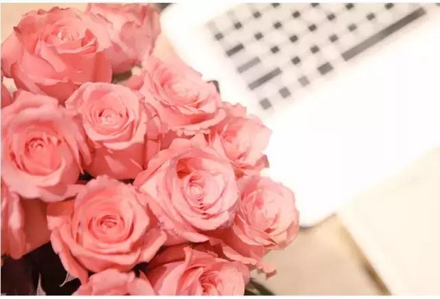 高端花店logo,开一家花店需要哪些logo