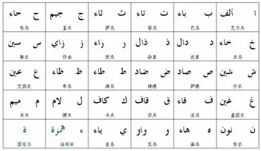 阿拉伯语字母书写与发音,阿拉伯语的书写方式