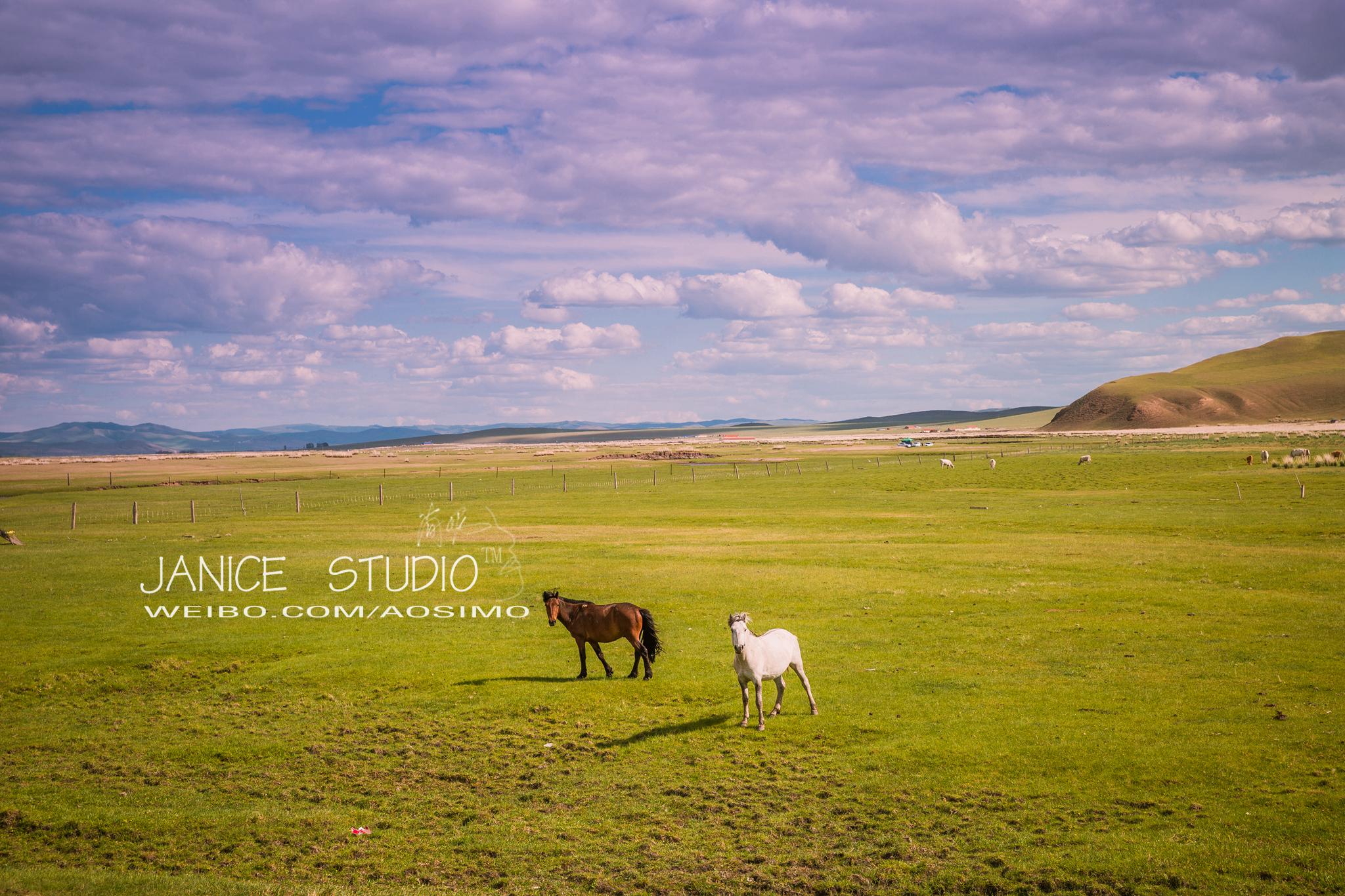 锡林郭勒草原旅游自驾攻略,锡林郭勒大草原自驾旅游攻略