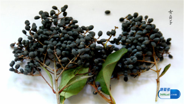 糖尿病人吃贞芪扶正颗粒有用吗,糖尿病能吃贞芪扶正胶囊吗