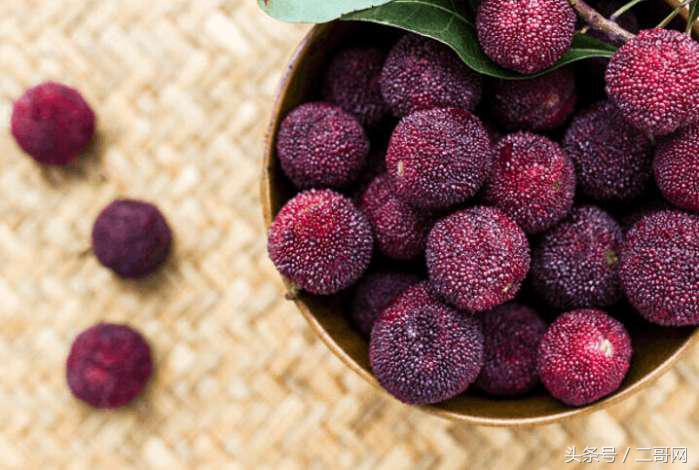 杨梅挑选小技巧,杨梅怎么样才能熟得快