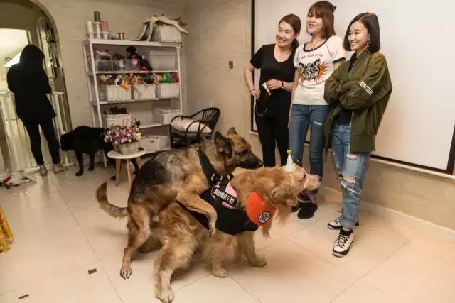 狗生如梦｜ONE实验室