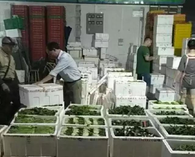 蔬菜批发生意赚不赚钱,蔬菜批发市场卖菜技巧