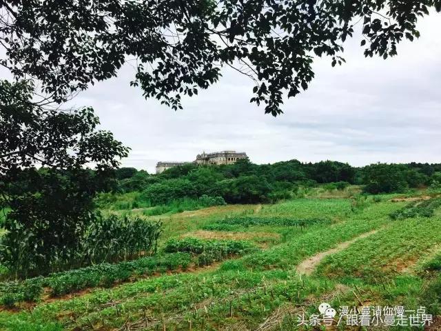 高淳去南京玩,高淳看荷花
