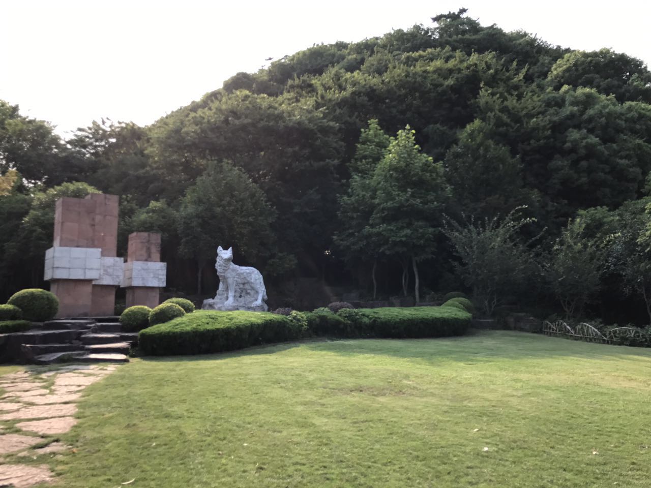 在研究癌症的过程中，我收获了很多