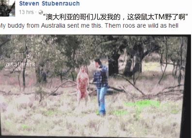 千万别惹袋鼠,千万不要去惹鸵鸟