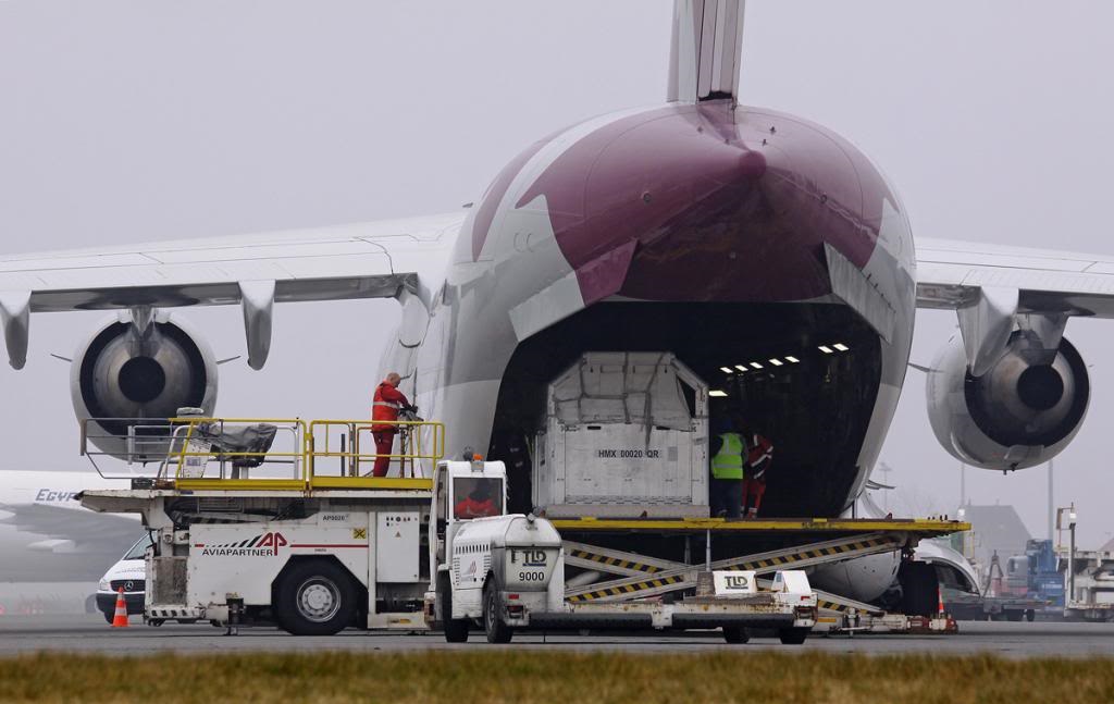 真壕！卡塔尔遭沙特等国围堵，恐怕要喝不上鲜奶，准备用运输机运来4000千头牛