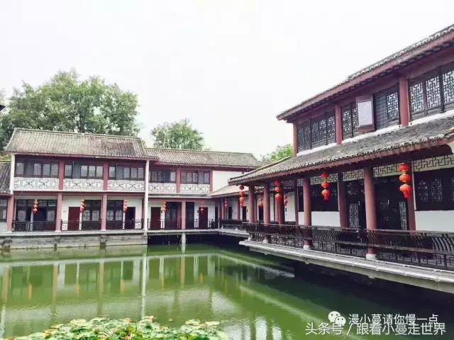 高淳去南京玩,高淳看荷花