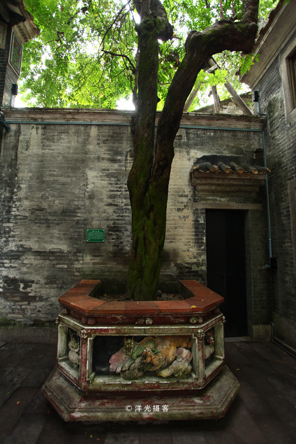 番禺古村落沙湾古镇,体验岭南粤韵之旅沙湾古镇半日游