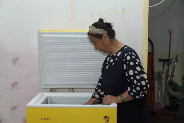 狗生如梦｜ONE实验室