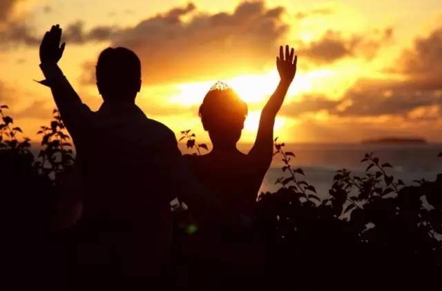 隐藏在森林里的现代别墅,隐藏在深山的豪宅