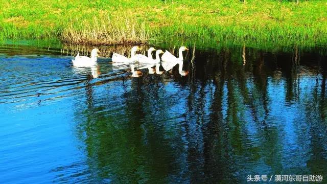 漠河市旅游包车攻略,漠河旅游包车哪里最便宜