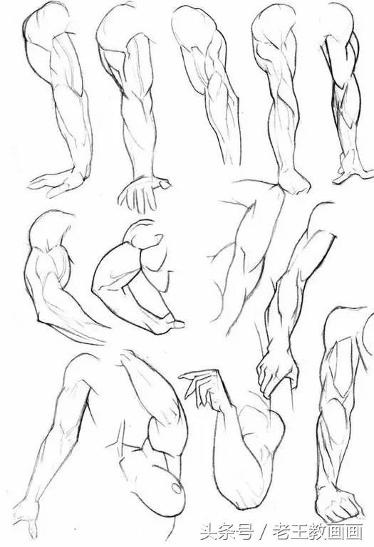 教100个零基础画画小白,零基础自学绘画入门书