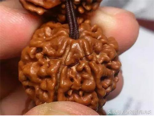 小金刚菩提子开裂了怎么办,金刚菩提手串开裂正常吗