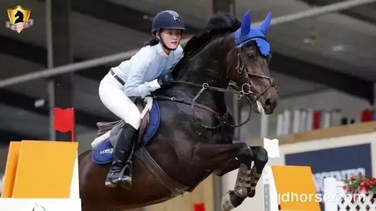 马术联赛总决赛,2019马术比赛鸟巢之路