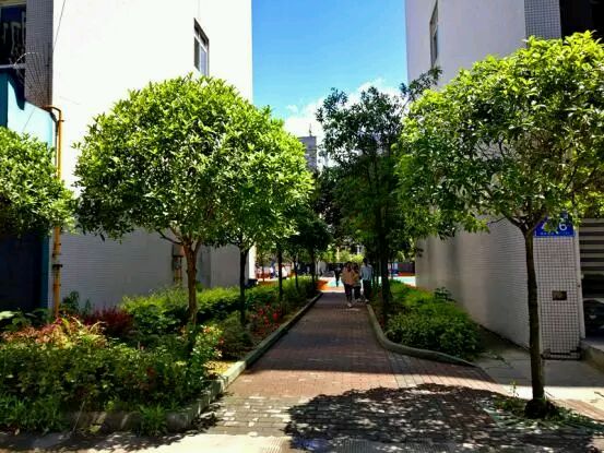 涓浗浜斿喍澶у浣嶇疆,涓浗浜斿喍澶у