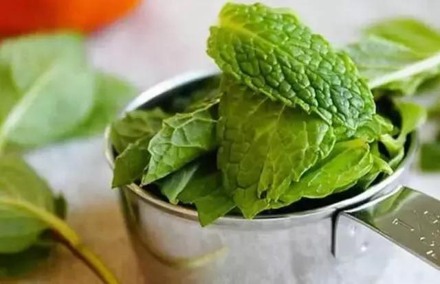 薄荷味的夏天苏州,苏州薄荷枇杷糕