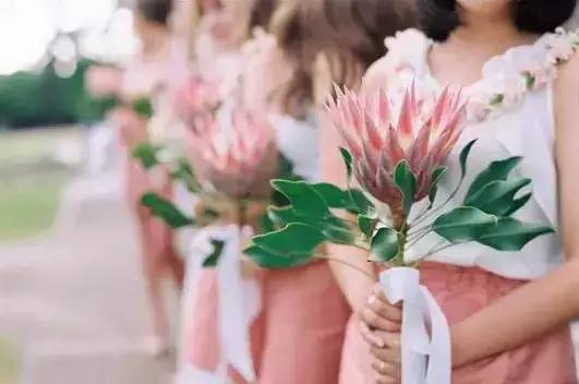 沙漠常识知识点总结,沙漠植物讲解