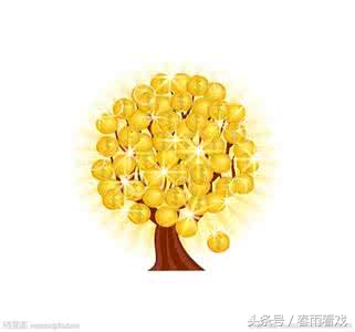 如何追带刺的玫瑰,怎样征服带刺的玫瑰