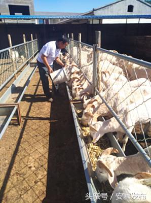 安塞读本：新农民新农村新希望——追赶超越看安塞之新型职业农民篇