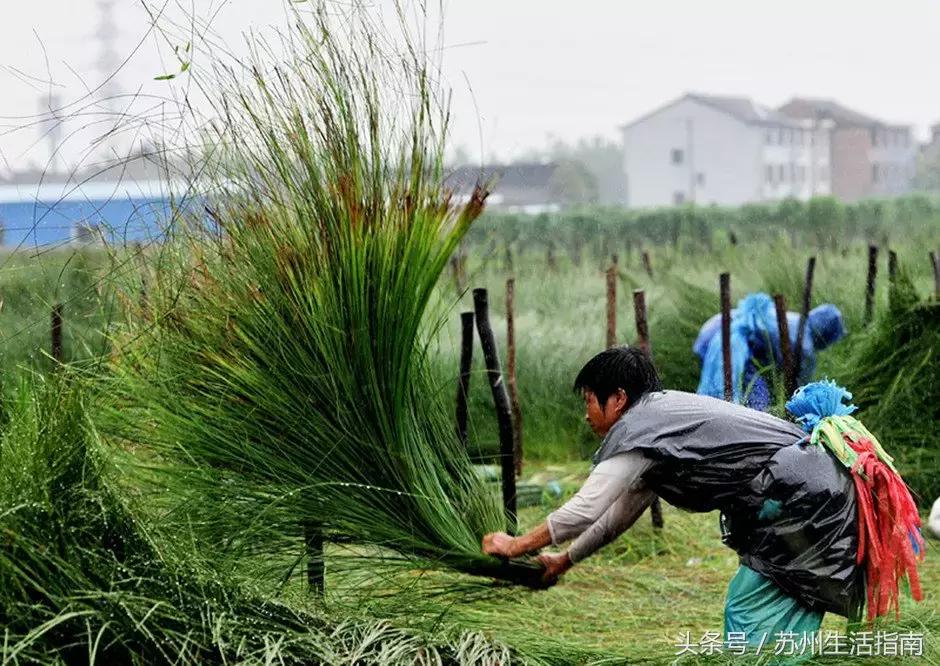 车坊，遗忘的边缘！