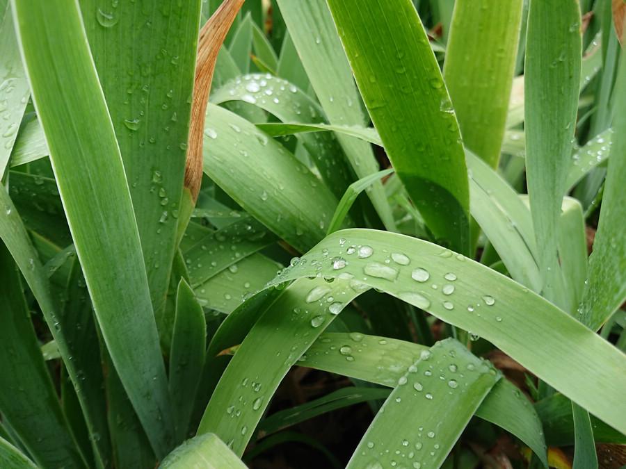 为啥都说索尼电视好,为什么都说索尼手机好