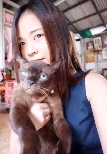 猫咪眼睑内翻解决办法,猫咪下眼睫毛内翻割眼皮后闭不上