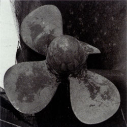 曾经侵略中国，六次远征南极：日本“奇迹之船”的精彩一生