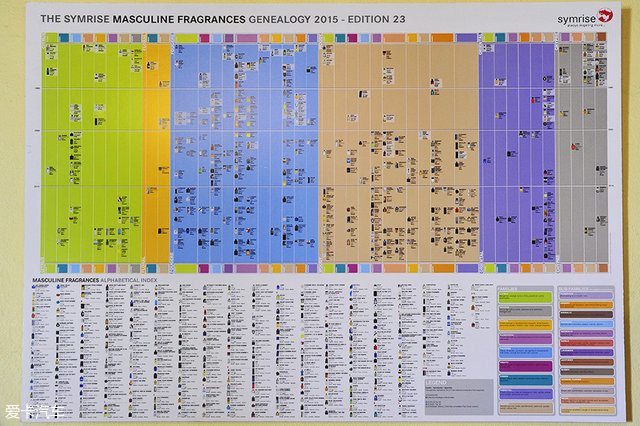 海陆皆猛虎路虎百慕大美洲帆船赛之旅