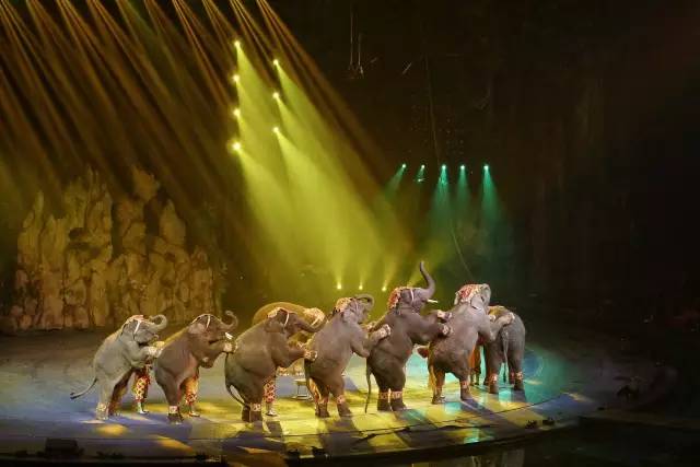 长隆攻略广州长隆欢乐世界攻略,广州长隆最全游玩攻略及费用