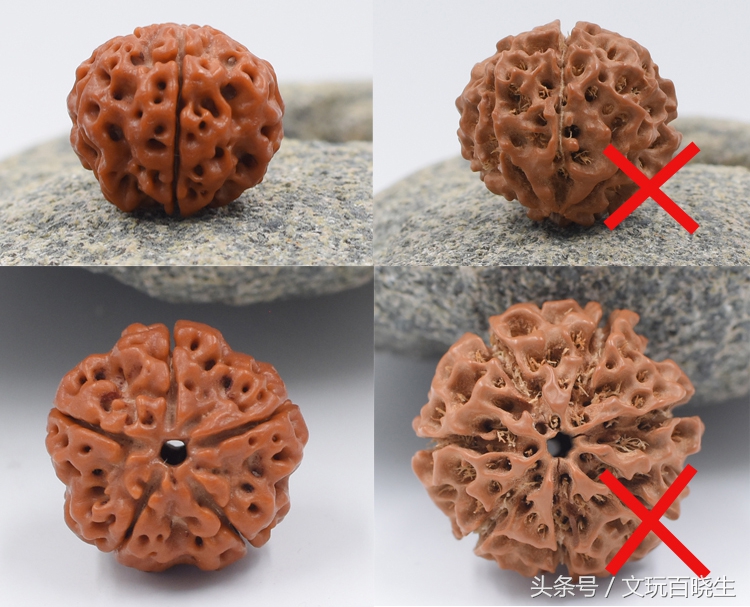 几内亚金刚和尼泊尔金刚的区别,正宗尼泊尔金刚菩提辨别