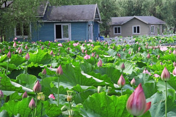 浙江嘉善大云旅游,嘉善大云周末玩的地方推荐