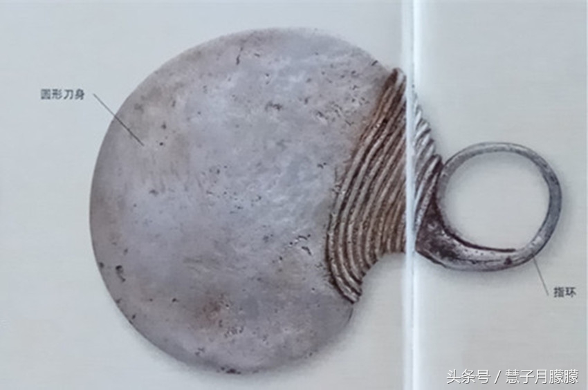 世界兵器五大幽灵杀：轻松割喉、一挠就死，中国一种神仙难救