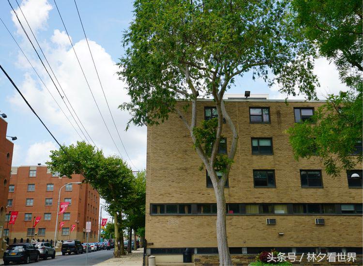 美国天普大学在哪个州,美国费城的大学