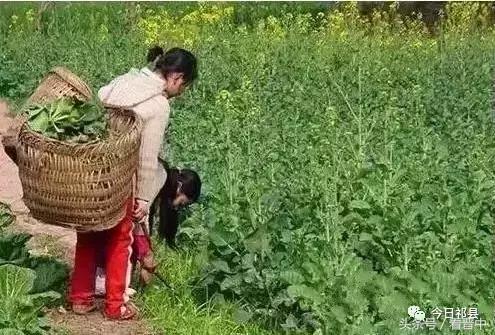 榆次老城童年回忆,榆次童年的味道