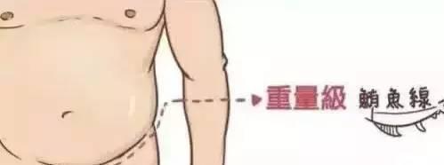 人鱼线等级划分图解,人鱼线等级对照表