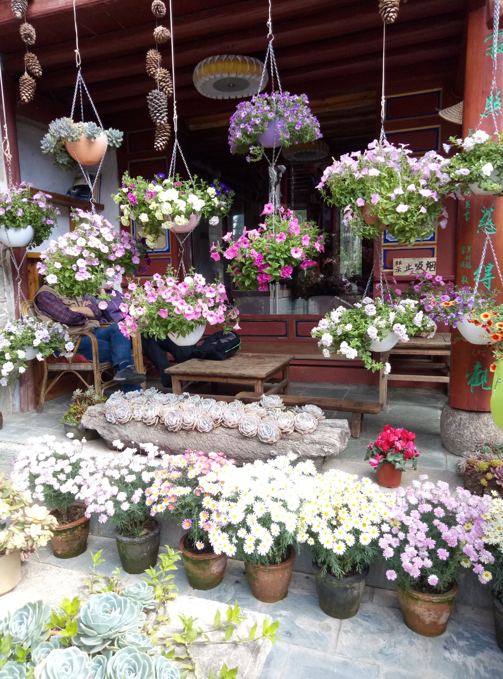 大理苍山的景色介绍,大理苍山上面的景色