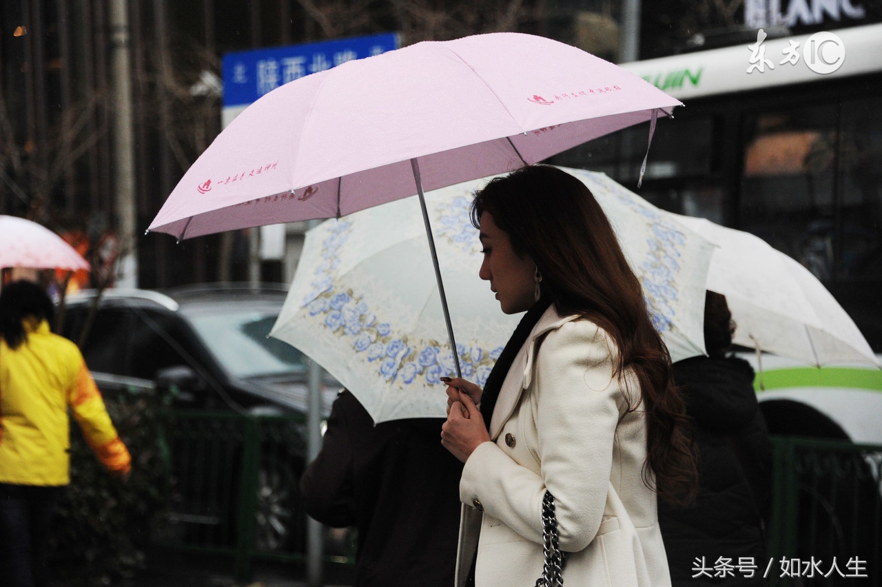 晨雨抒怀,晨雨的美文