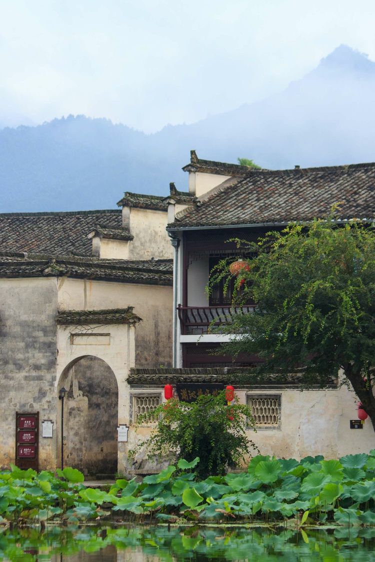 发现一个世外桃源的地方真美,有一处叫世外桃源的地方