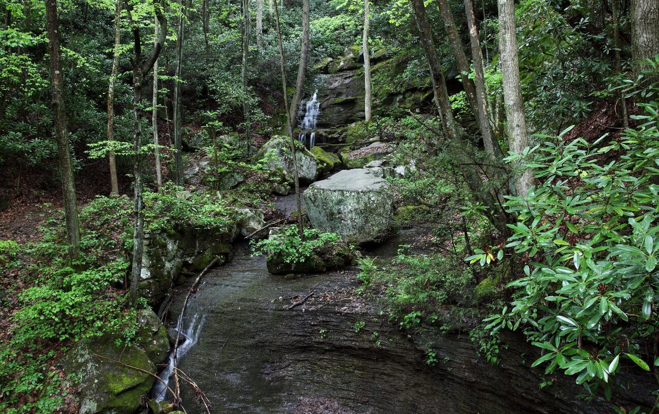 深山迷路原因,在深山迷路了怎么办