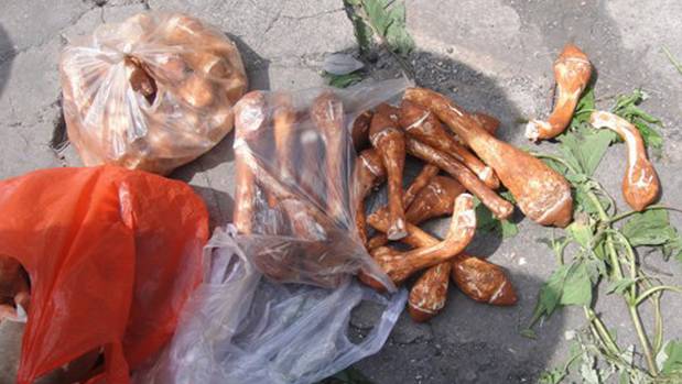 买菌菇被骗,买菌子东西被骗了怎样能追回钱