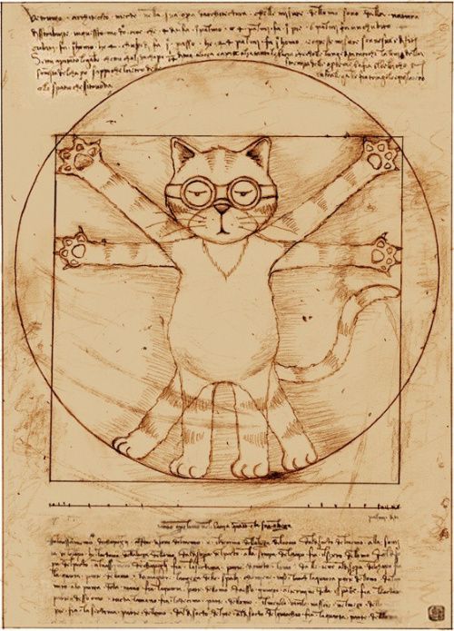 电影达芬奇密码1 (达芬奇密码1-12)