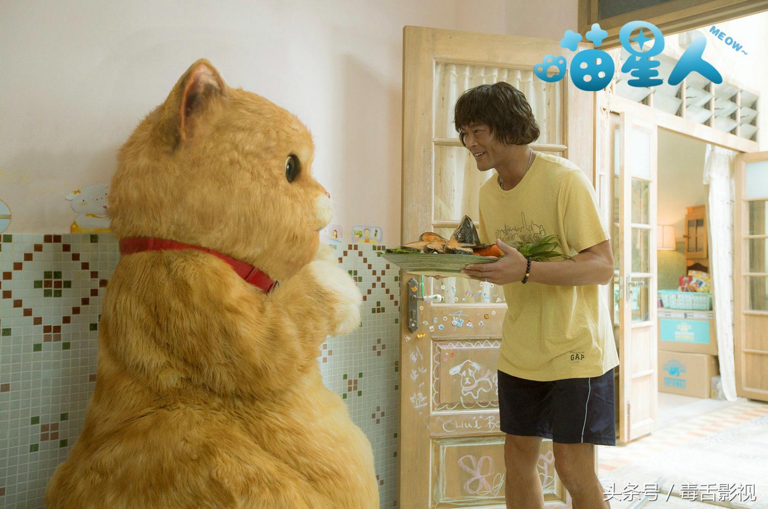 五句话夸猫咪可爱作文,关于喵星人的好听句子简短