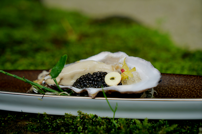 杭州西湖低奢度假村,浙江杭州西湖旅游风景度假区
