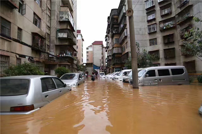 鏆撮洦琚煄韬奖瑙嗛,鏆撮洦琚煄杞﹁締琛屼汉瑙嗛