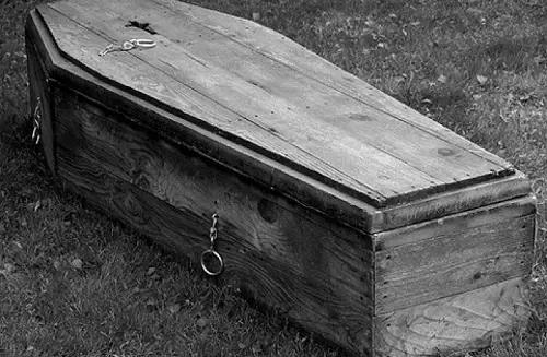 魔术大师胡迪尼的一生,胡迪尼大象消失魔术原理