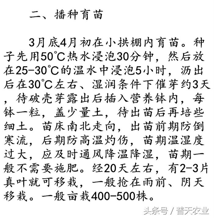 癞葡萄的种植方法和技术,癞葡萄种植方法和注意事项