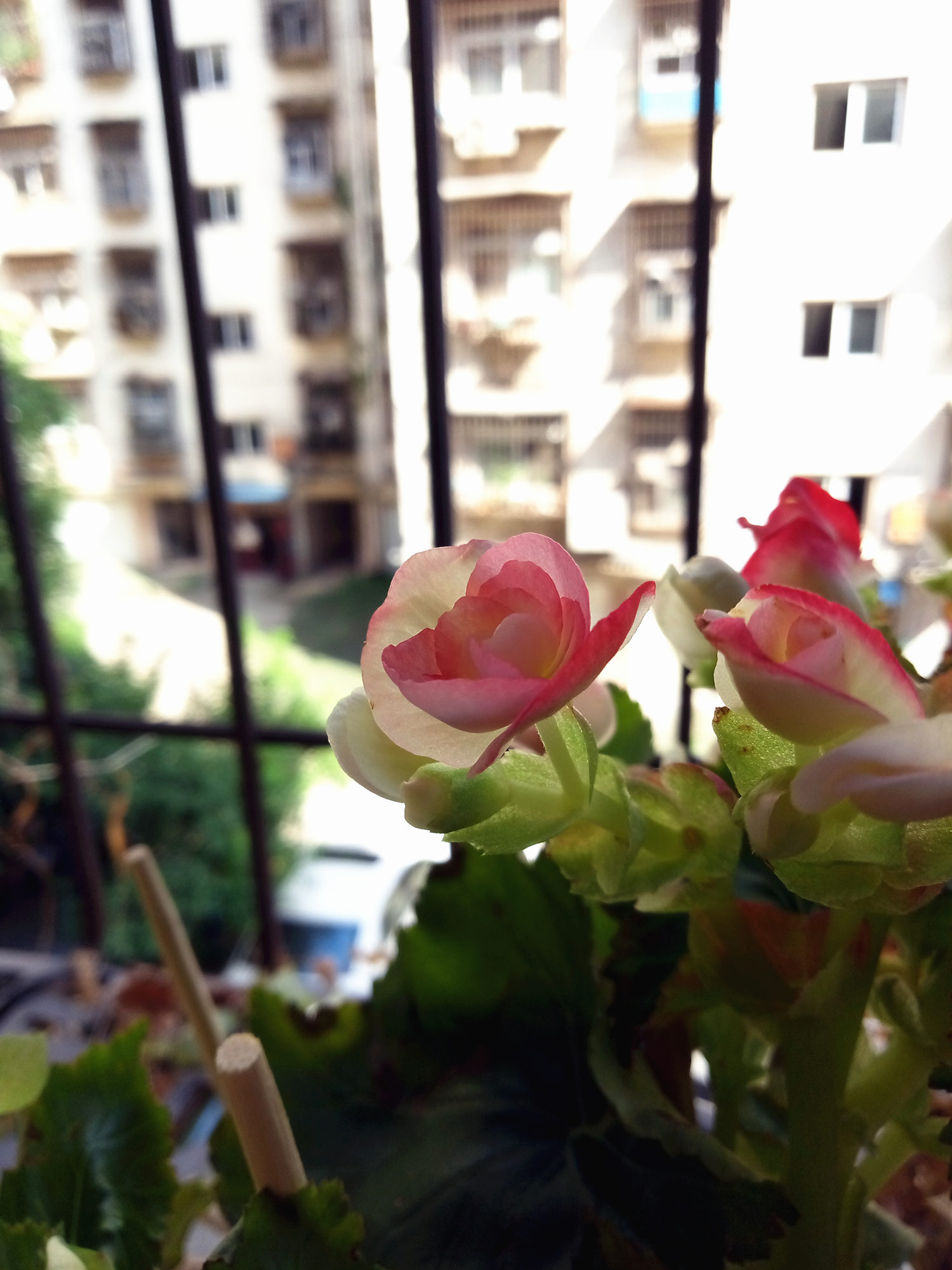 魅蓝e2闪光灯测评,魅蓝E2有什么优点