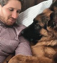 猫咪眼睑内翻解决办法,猫咪下眼睫毛内翻割眼皮后闭不上