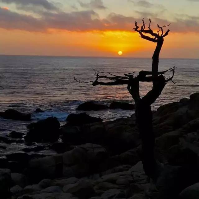 美国旅游10个必去的地方,美国加州有什么好玩的地方